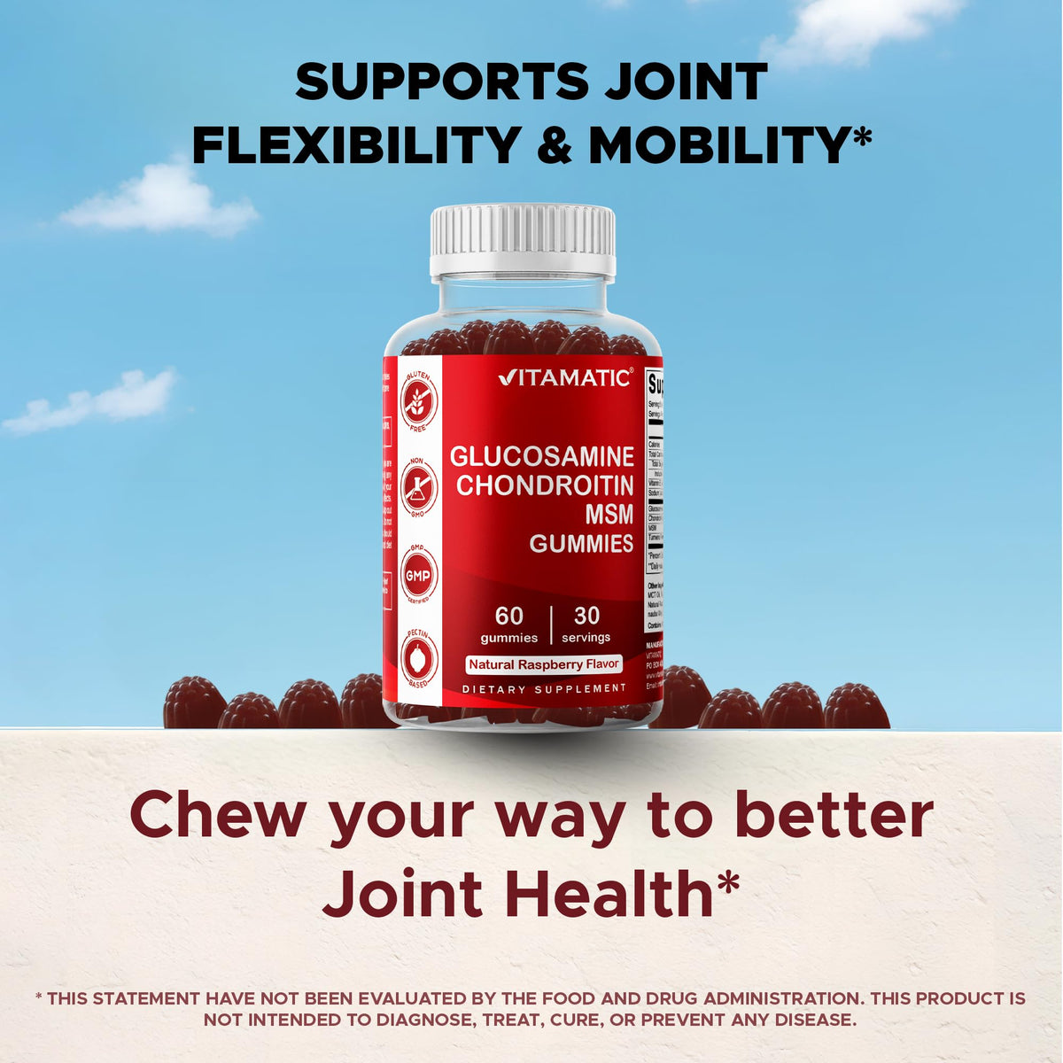 Glucosamine Chondroitin with MSM 60 Gummies 2 Pack Z25862