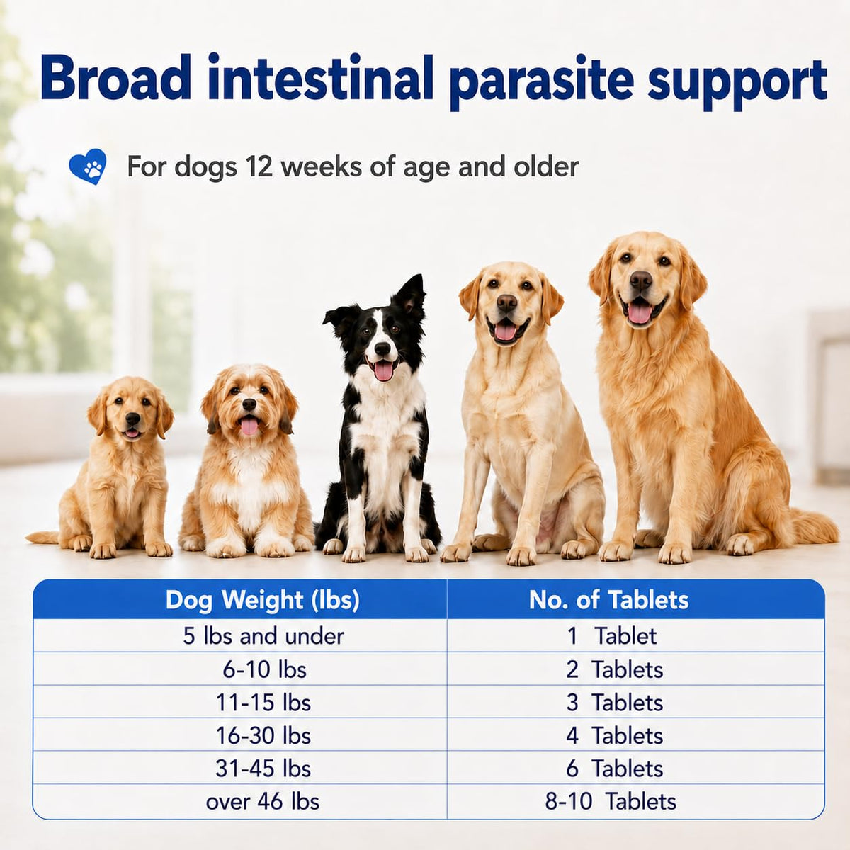 Dewormer for Dogs E891778