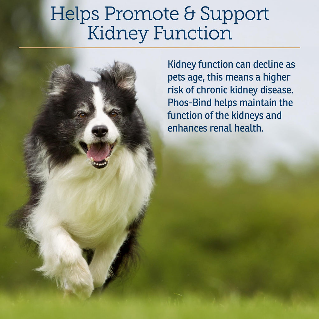Kidney Support Supplement Powder 200g C7521