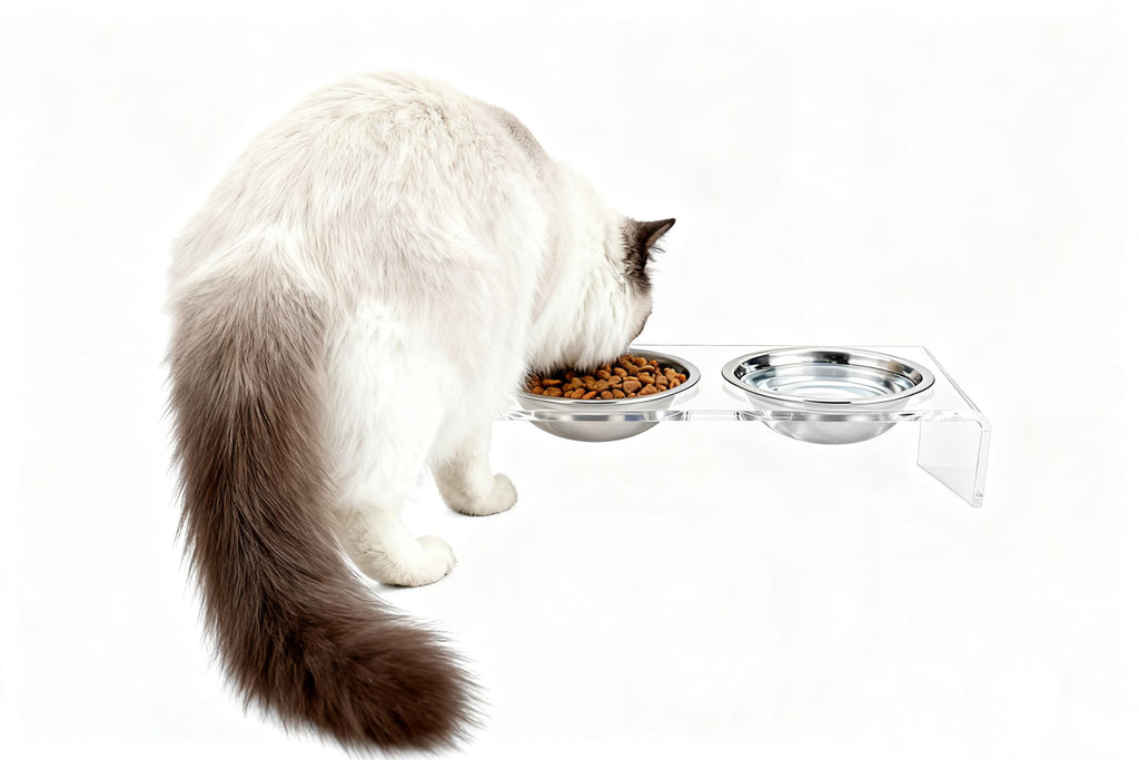 Elevated Cat & Dog Bowls Stand with 2 Stainless Steel Dishes E940