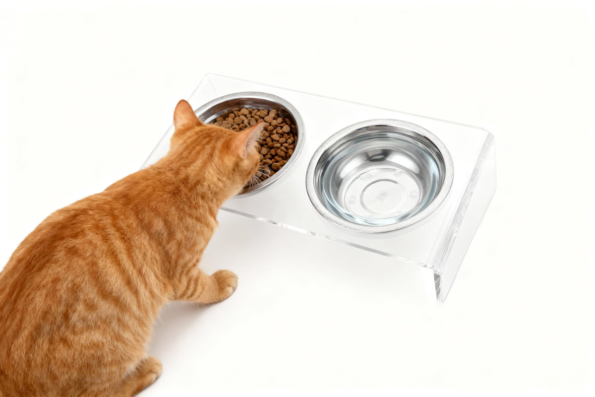 Elevated Cat & Dog Bowls Stand with 2 Stainless Steel Dishes E940