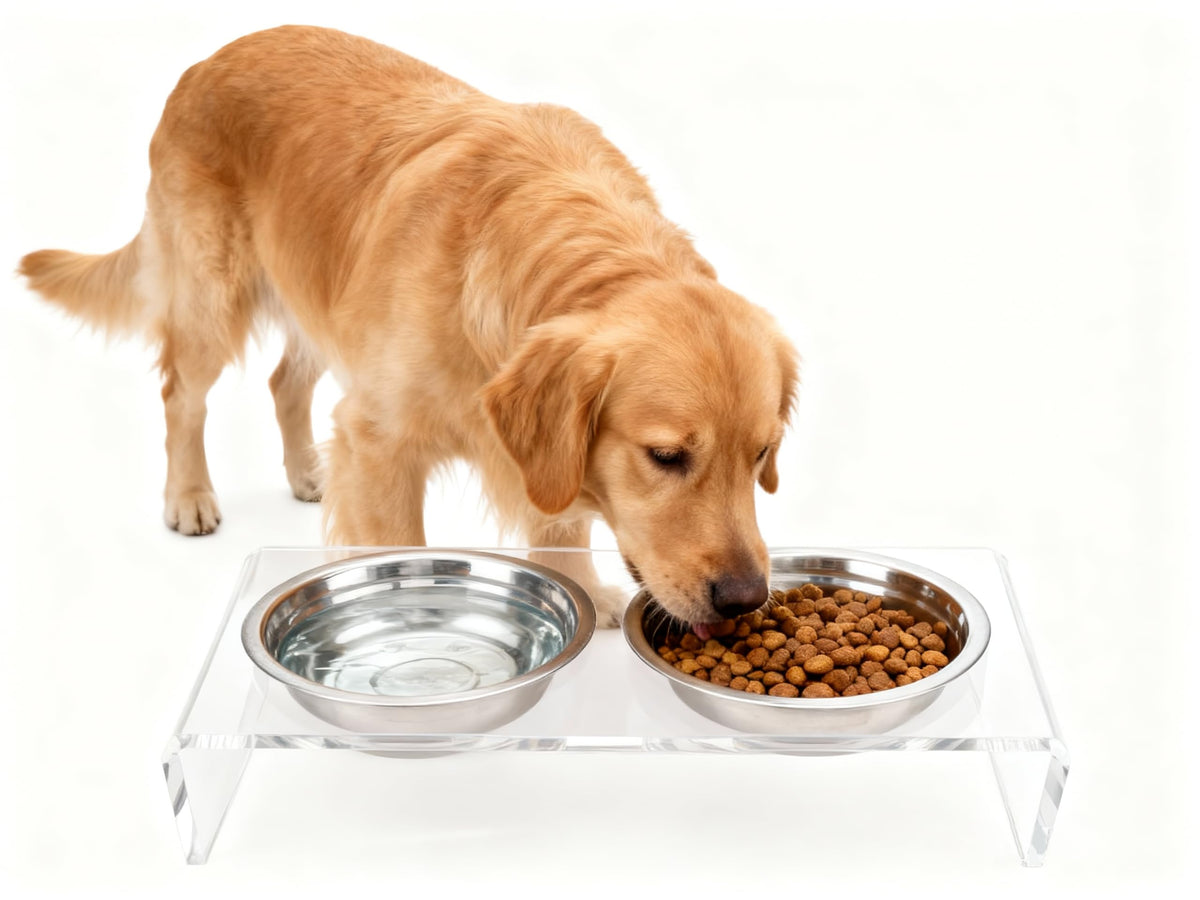 Elevated Cat & Dog Bowls Stand with 2 Stainless Steel Dishes E940