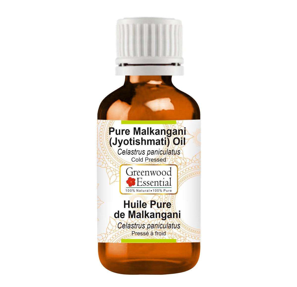 Cold Pressed Malkangani Oil 30ml H841541