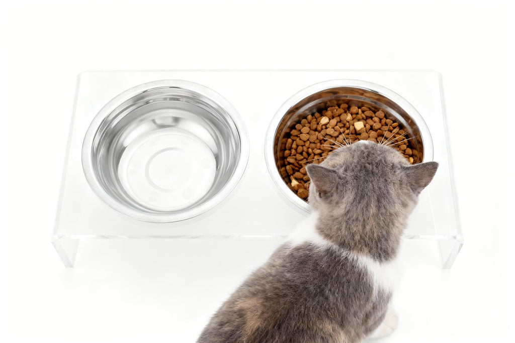 Elevated Cat & Dog Bowls Stand with 2 Stainless Steel Dishes E940