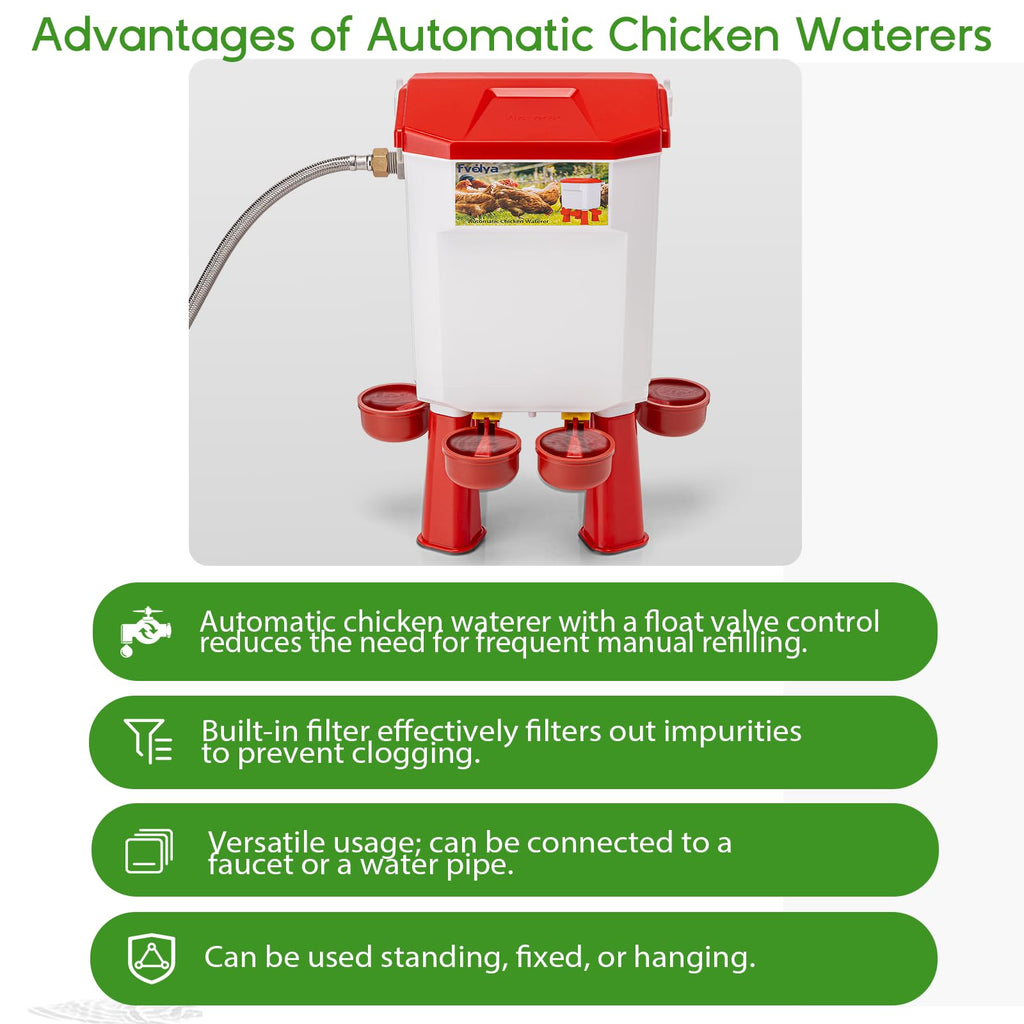 Automatic Chicken Waterer with Four Water Cups Y98294