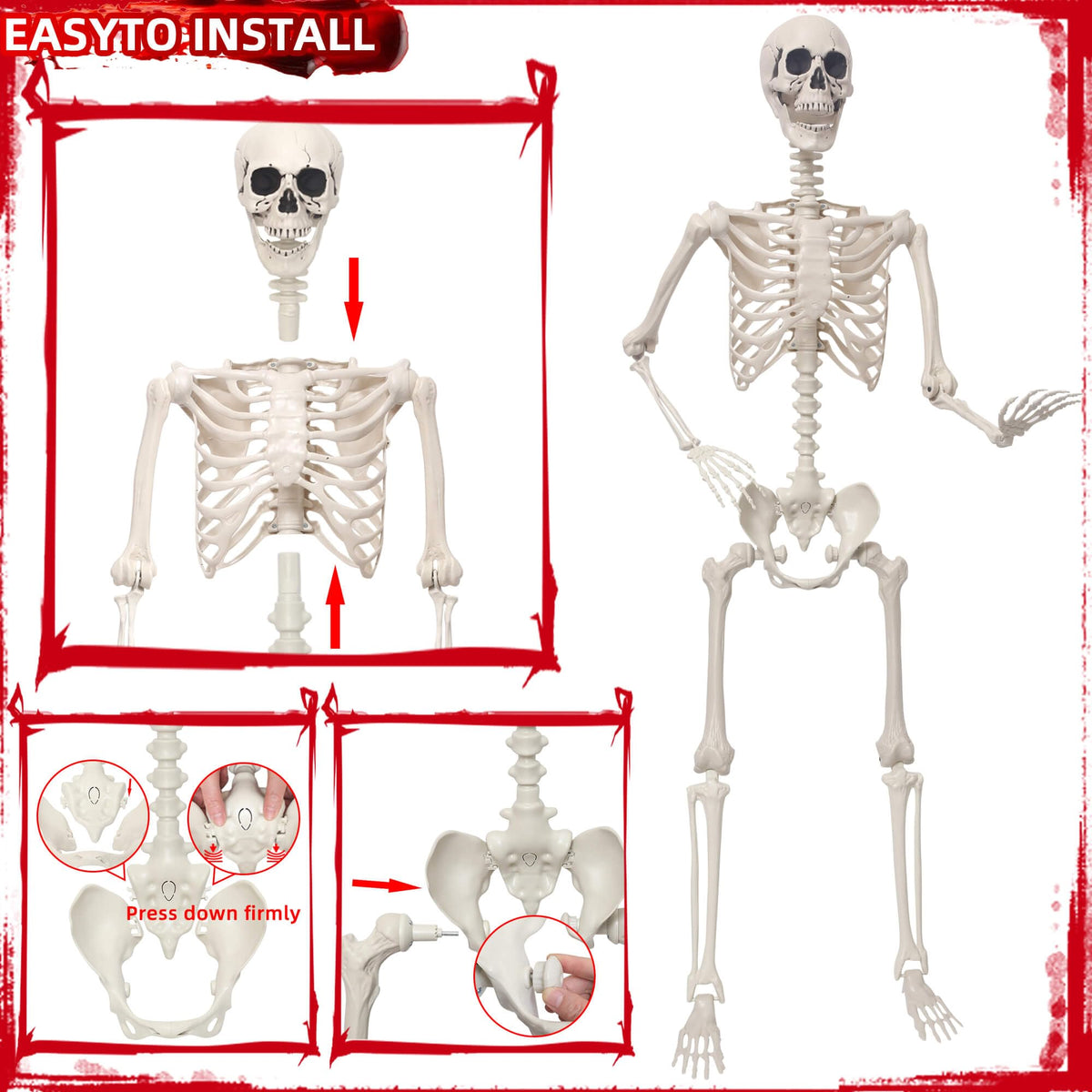 5.4Ft Poseable Skeleton Plastic Human Bones O559