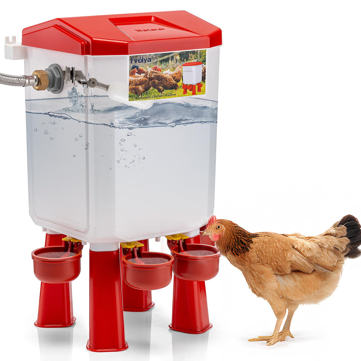 Automatic Chicken Waterer with Four Water Cups Y98294