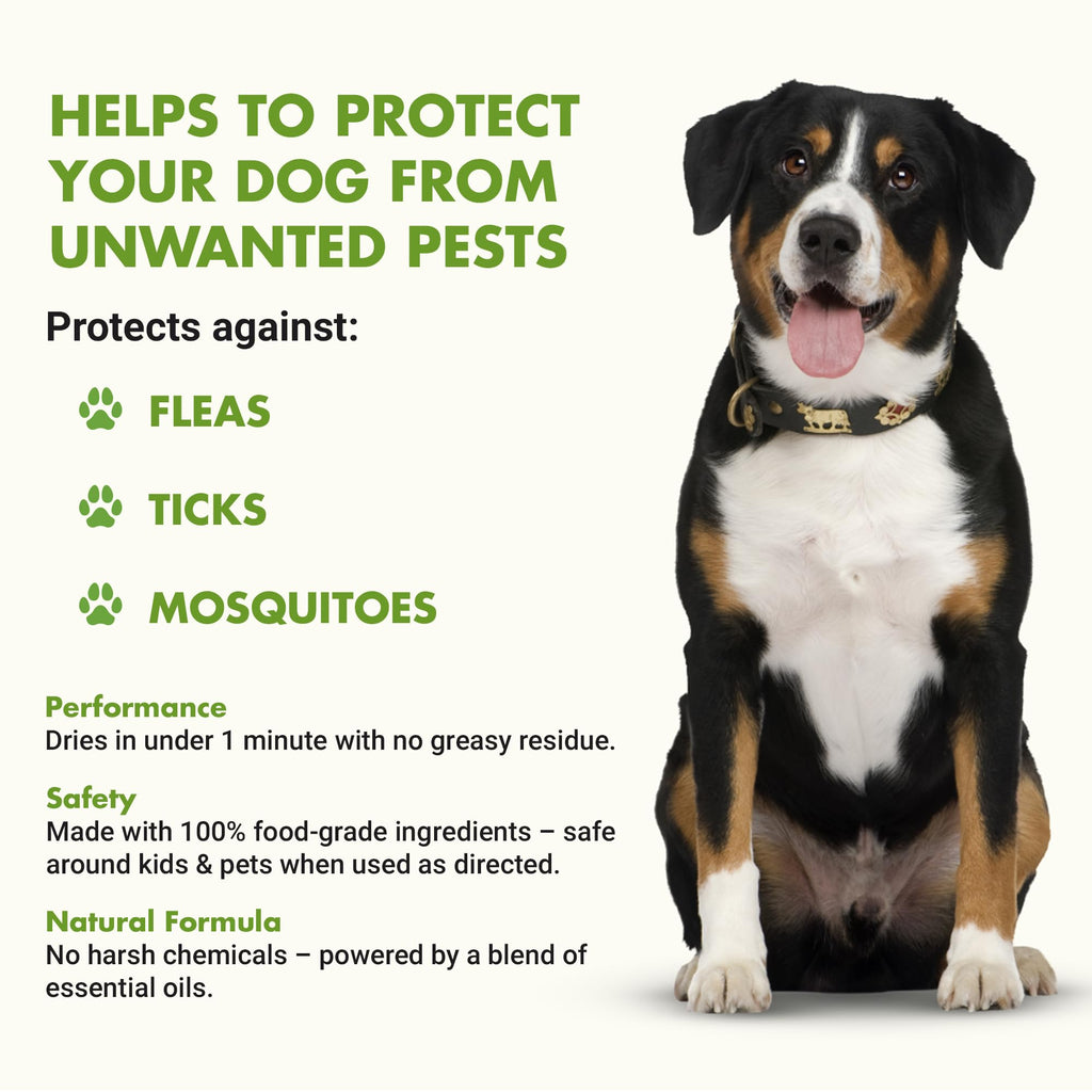 Flea and Tick Topical Treatment 8 oz W287