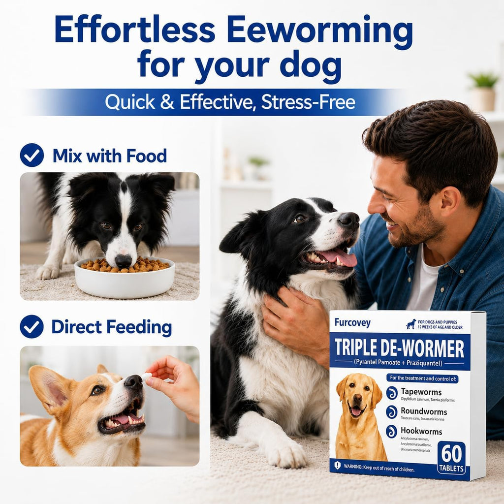 Dewormer for Dogs E891778