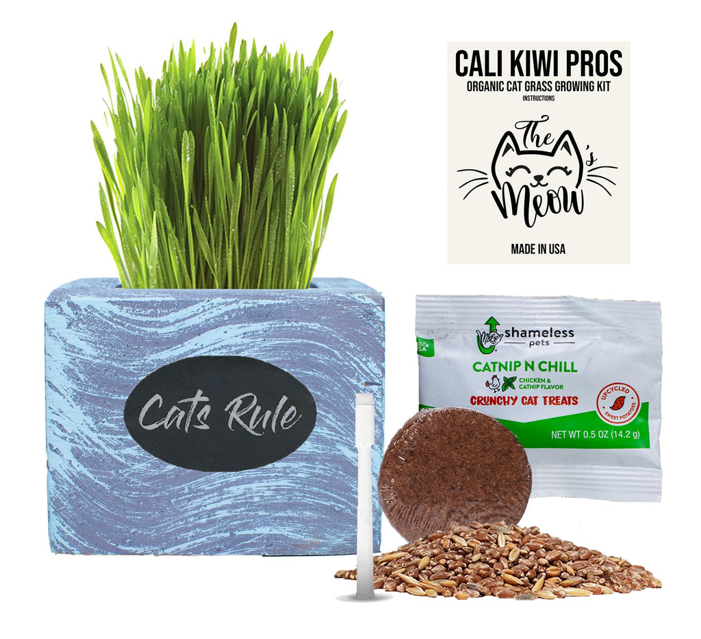 Organic Wheatgrass Seed & Soil Cat Grass Kit R82342