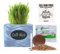 Organic Wheatgrass Seed & Soil Cat Grass Kit R82342