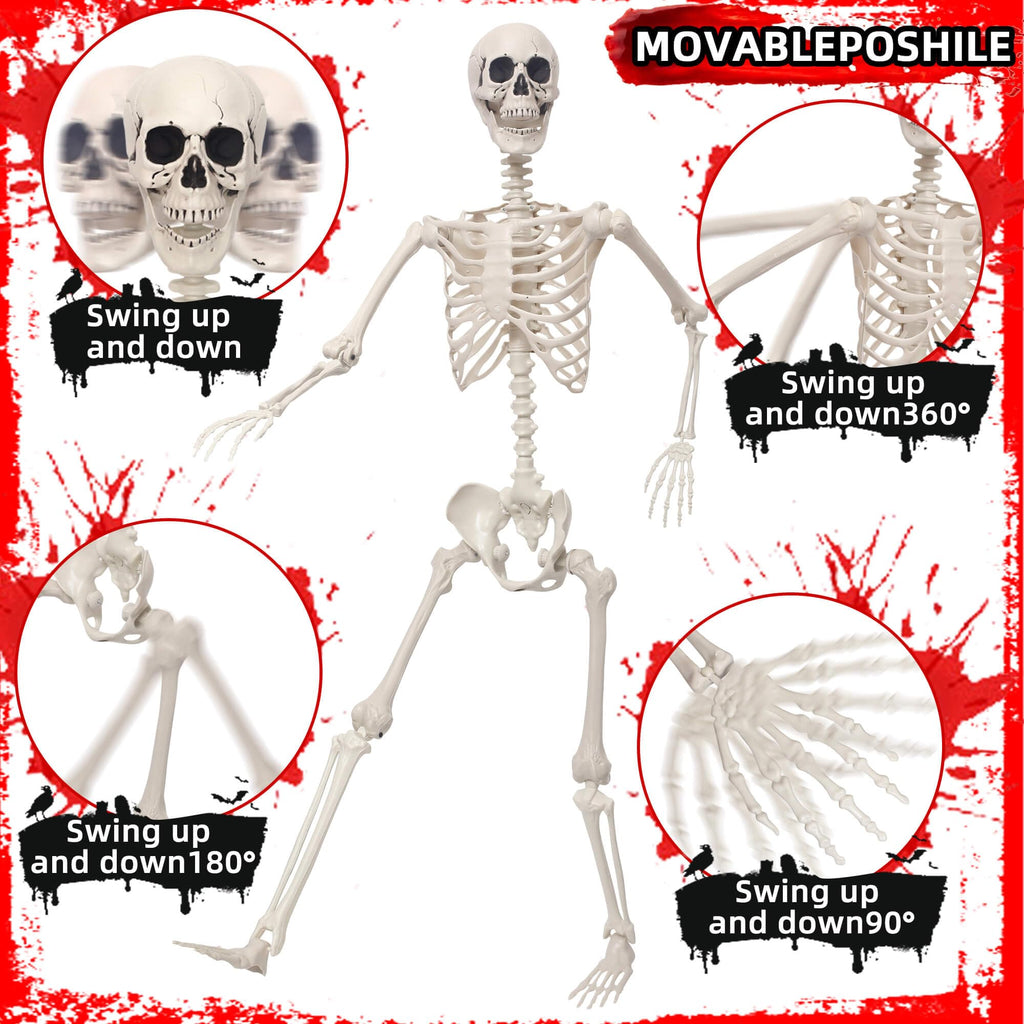 5.4Ft Poseable Skeleton Plastic Human Bones O559