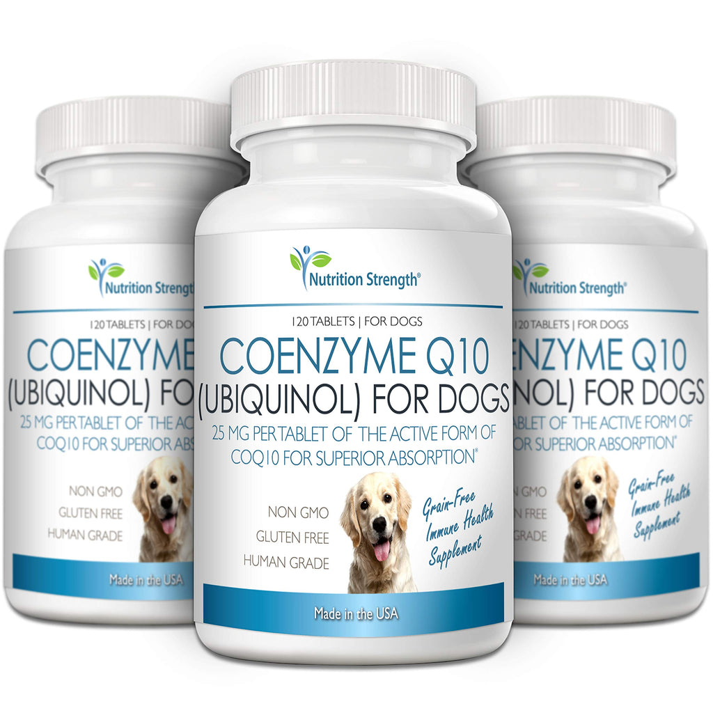 Coenzyme Q10 for Dogs Grain-Free Supplement, 120 Chewable Tablets D642