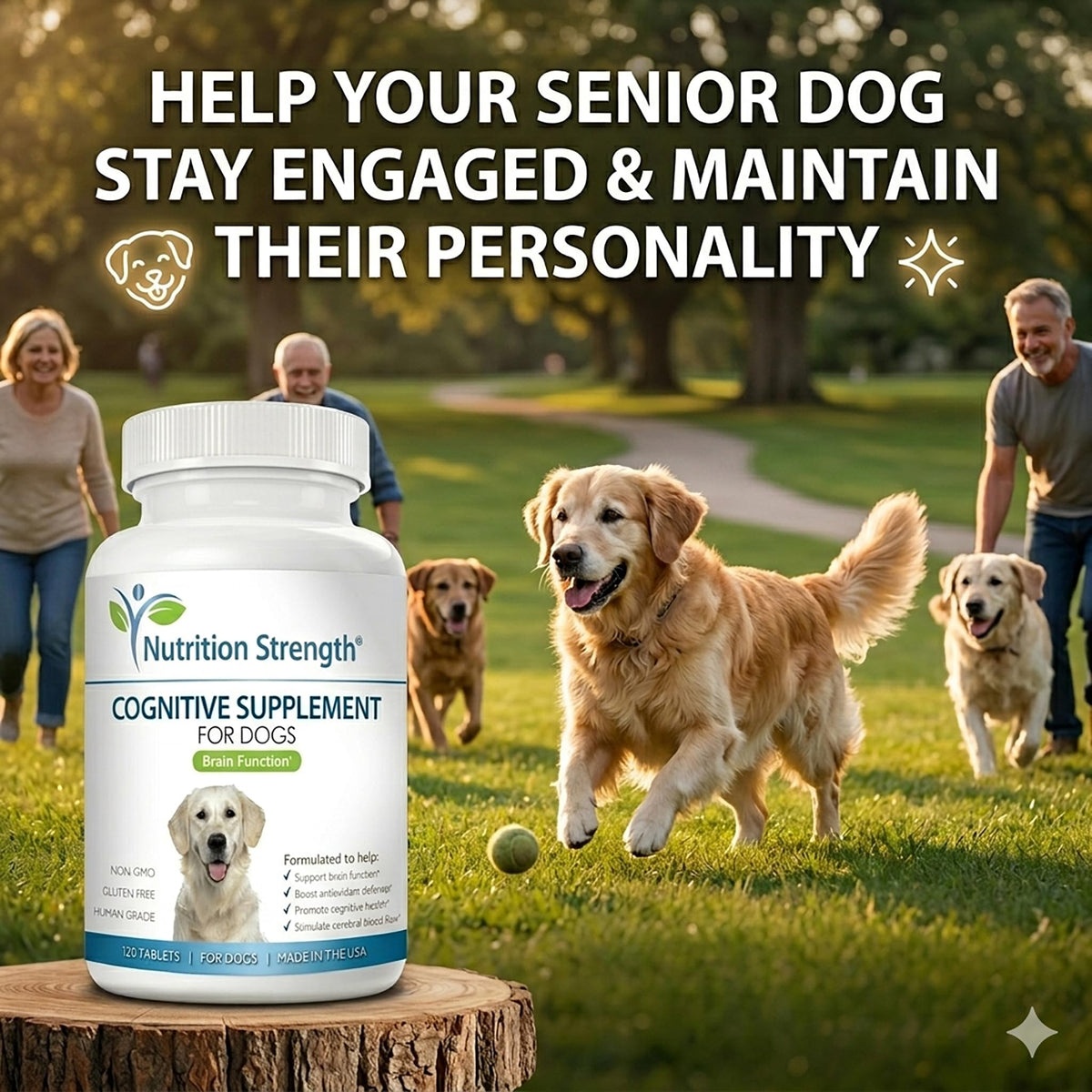120 Chewable Tablets Cognitive Support Dog Supplement Y42221