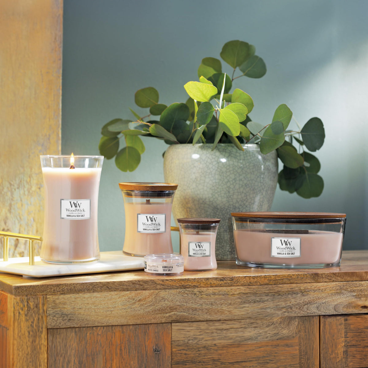 Vanilla & Sea Salt Scented Candle Q2011