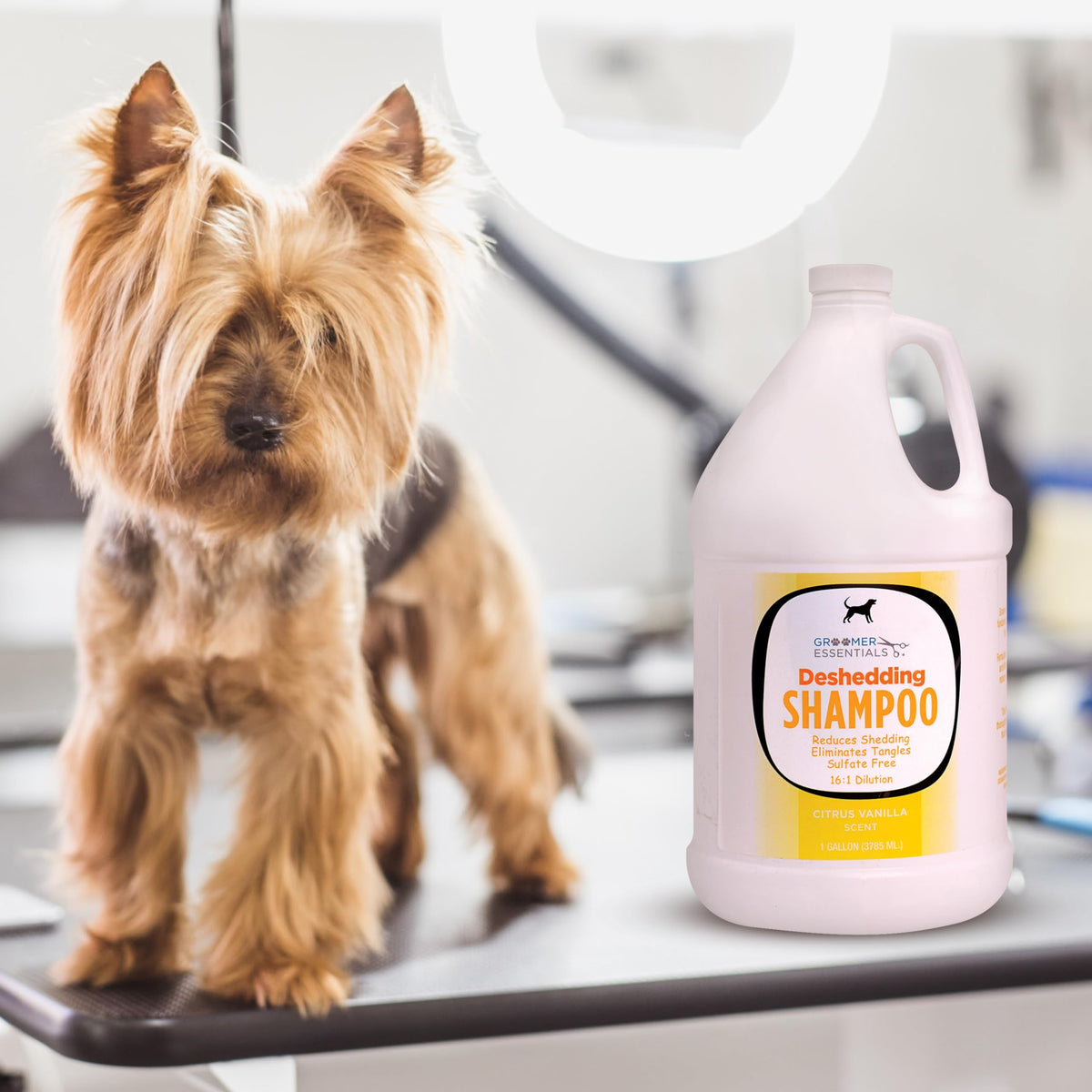 Deshedding Shampoo Gallon X71401