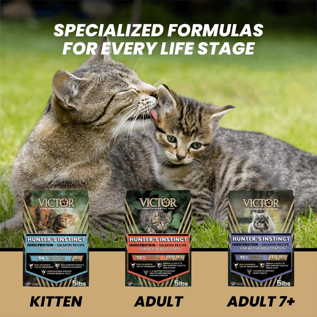 High Protein Salmon Recipe for Kittens, 5lb H961