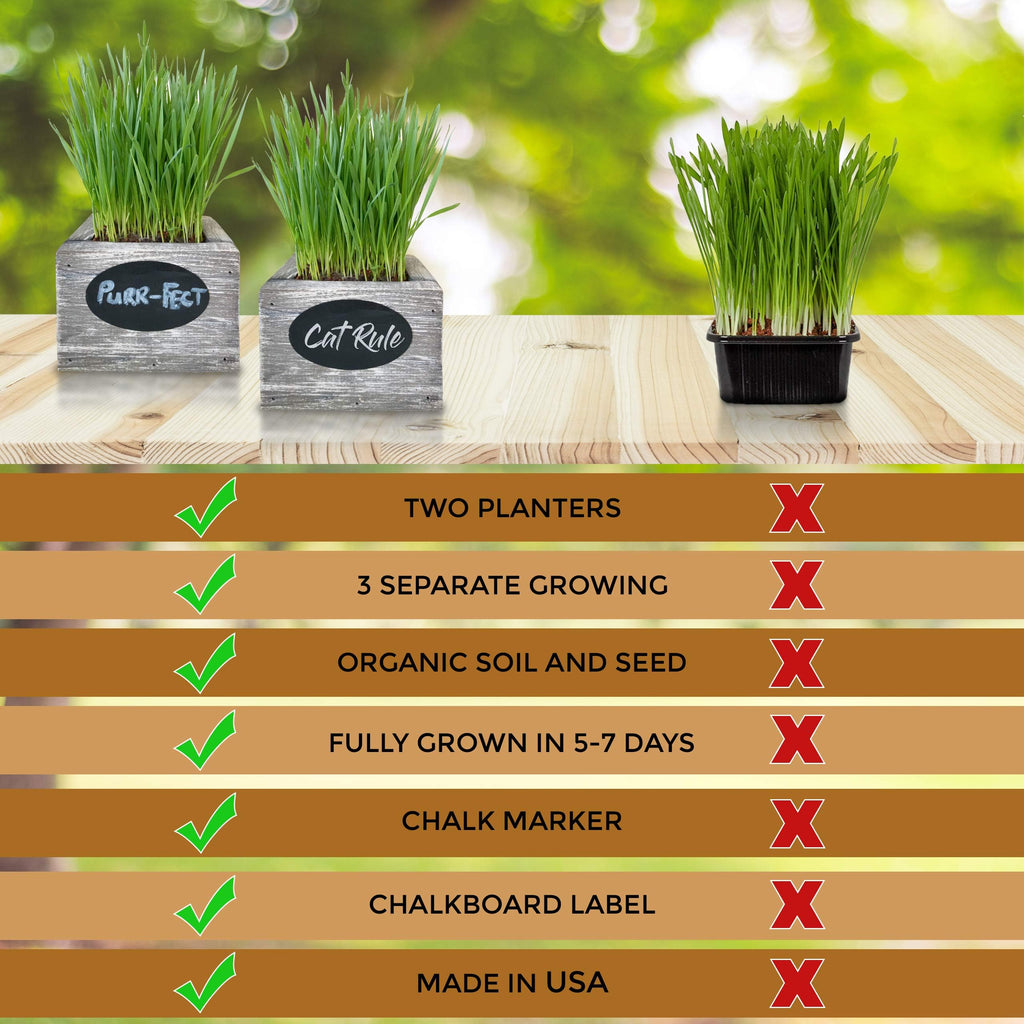 Organic Wheatgrass Seed & Soil Cat Grass Kit R82342