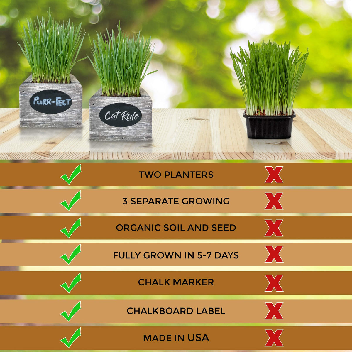 Organic Wheatgrass Seed & Soil Cat Grass Kit R82342