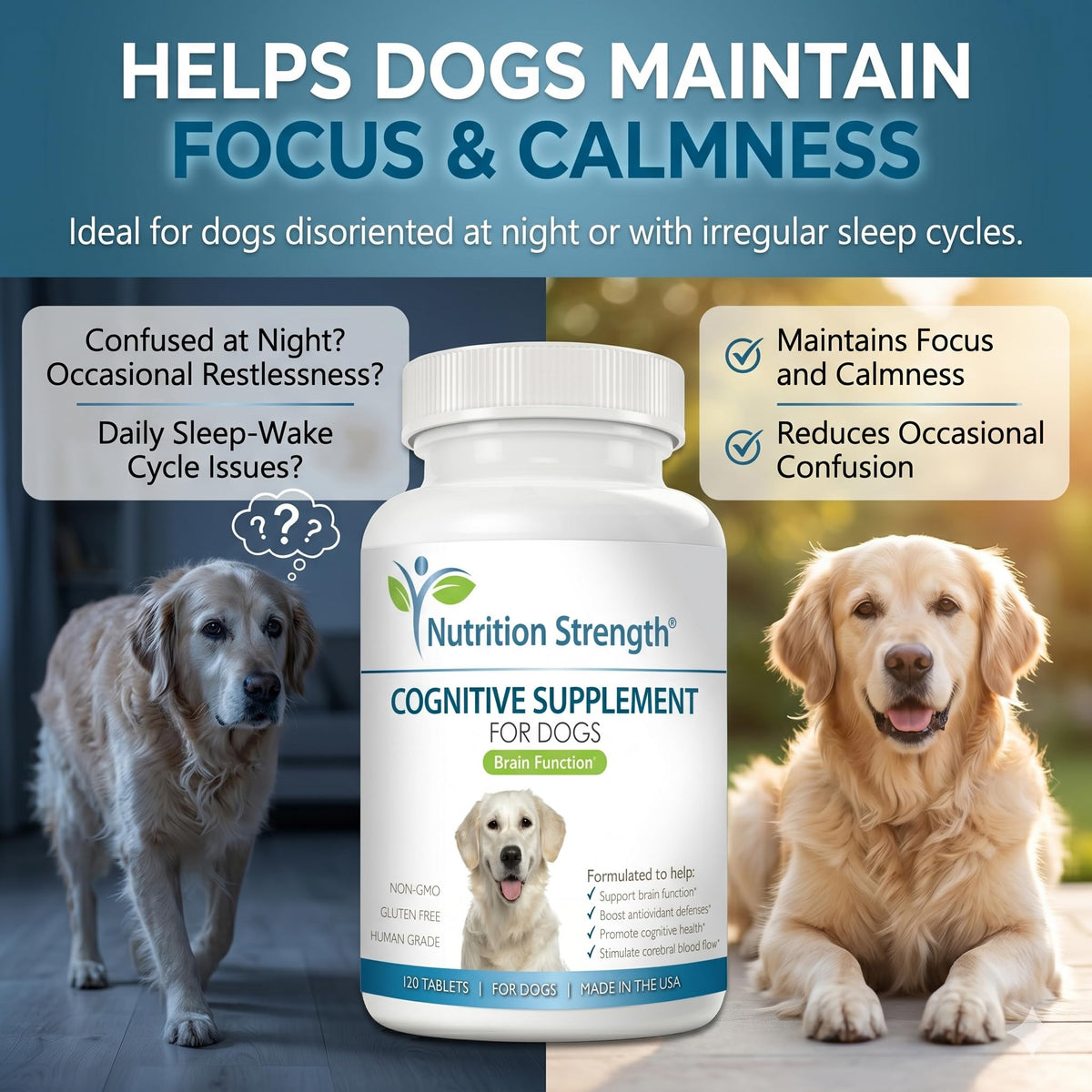120 Chewable Tablets Cognitive Support Dog Supplement Y42221