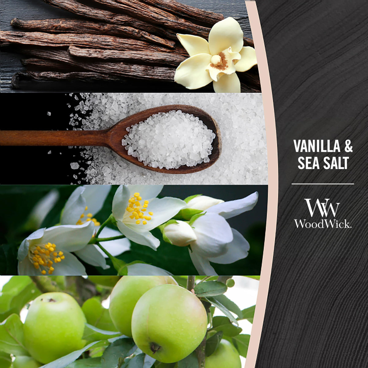 Vanilla & Sea Salt Scented Candle Q2011