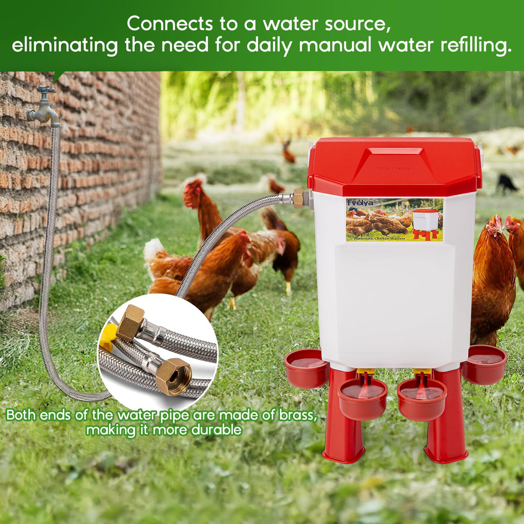 Automatic Chicken Waterer with Four Water Cups Y98294