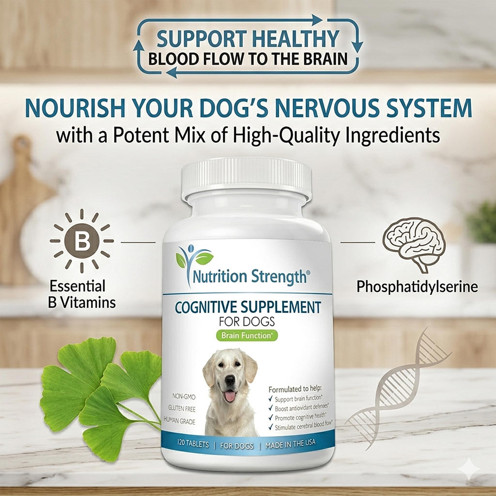 120 Chewable Tablets Cognitive Support Dog Supplement Y42221