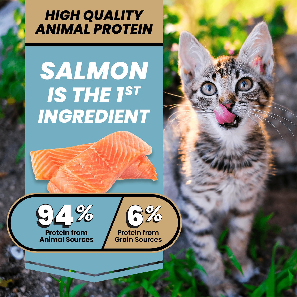 High Protein Salmon Recipe for Kittens, 5lb H961