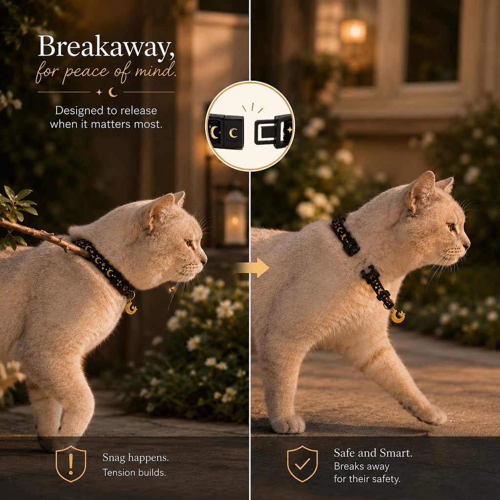 Breakaway Cat Collar with Bell H69931