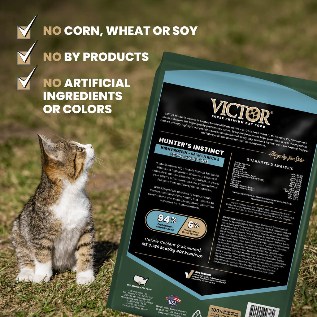 High Protein Salmon Recipe for Kittens, 5lb H961