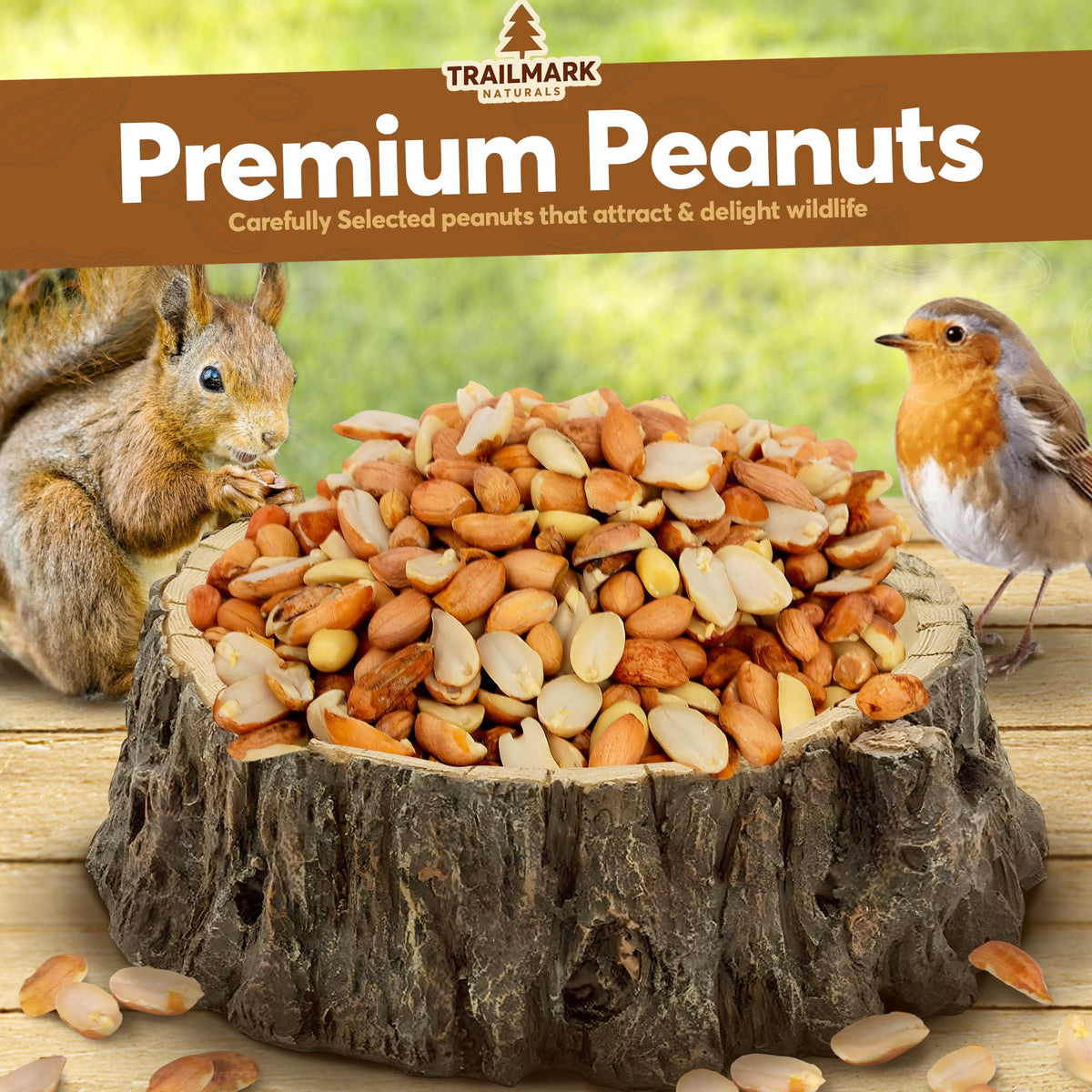 Raw Shelled Peanuts I2711