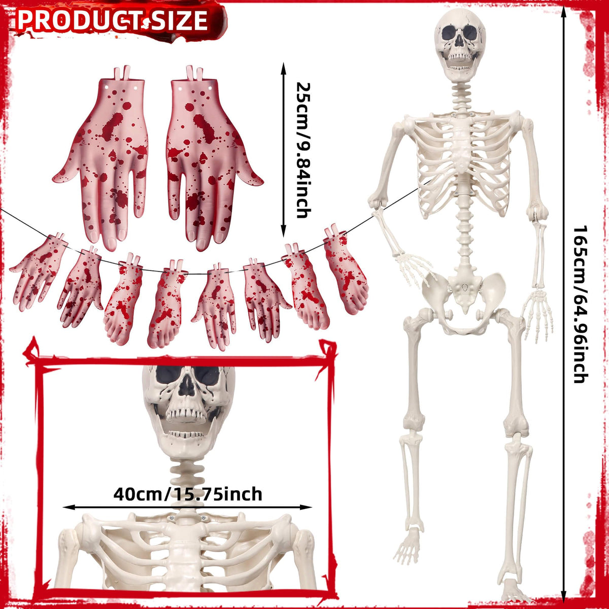 5.4Ft Poseable Skeleton Plastic Human Bones O559