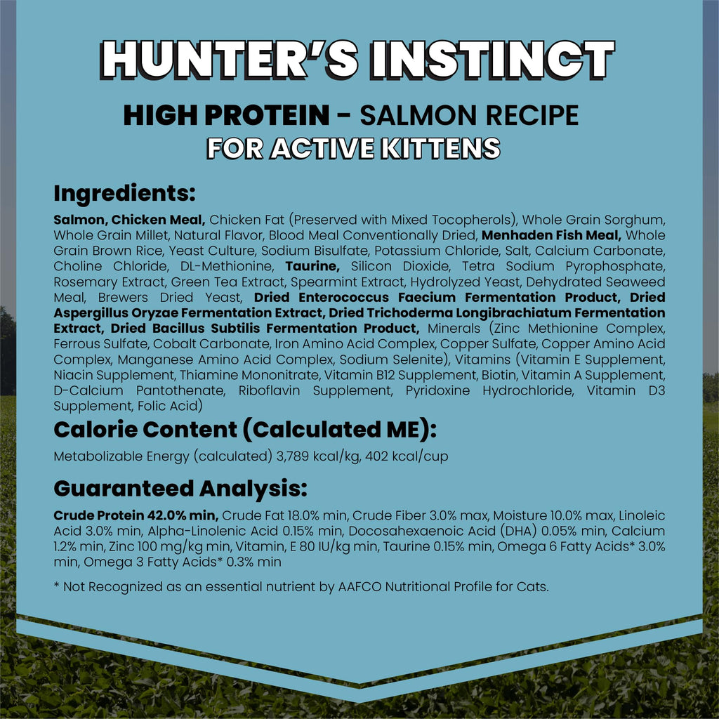 High Protein Salmon Recipe for Kittens, 5lb H961