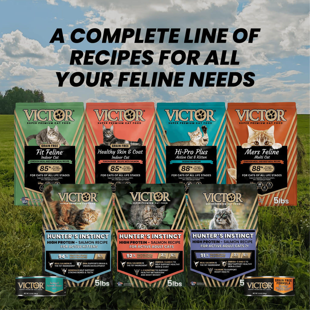 High Protein Salmon Recipe for Kittens, 5lb H961