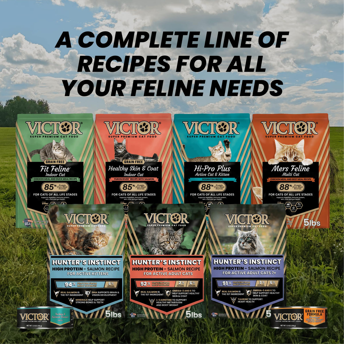 High Protein Salmon Recipe for Kittens, 5lb H961