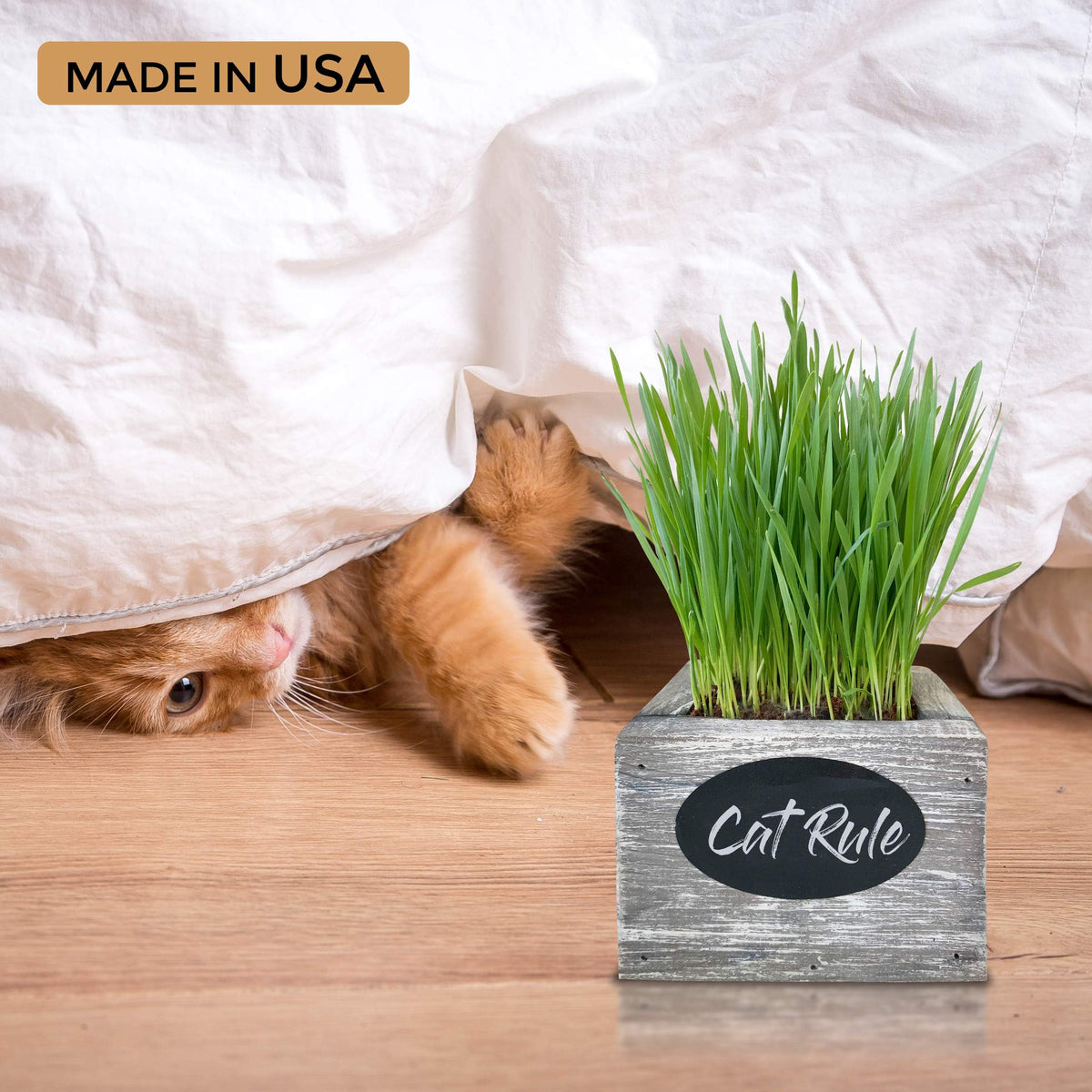 Organic Wheatgrass Seed & Soil Cat Grass Kit R82342