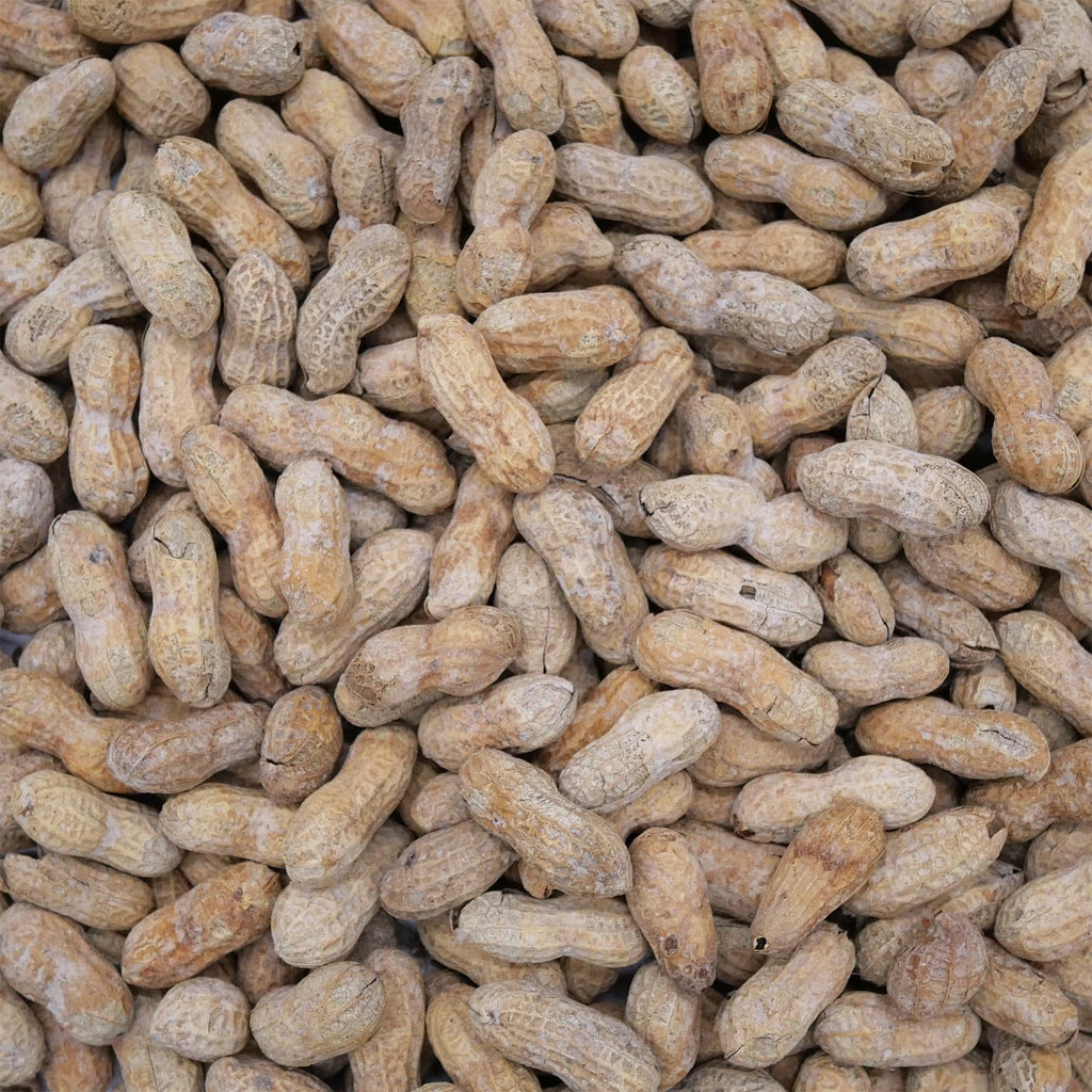 Salted Dry Roasted In Shell Peanuts 2 Pounds C604636