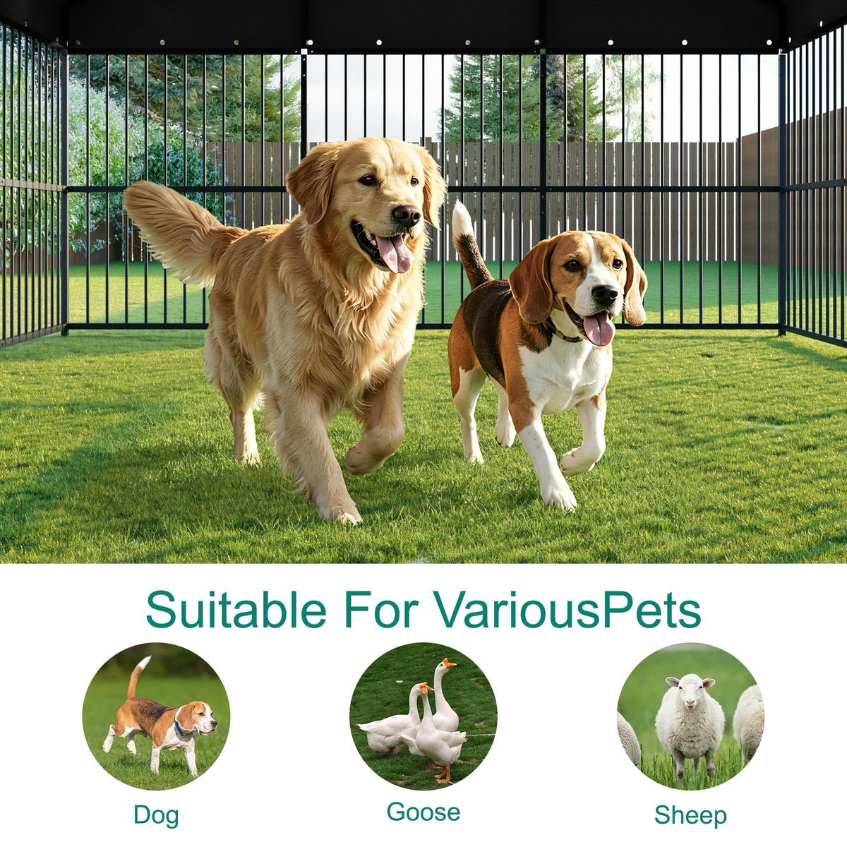 10x20x6.5 FT Outdoor Dog Kennel with Roof W422
